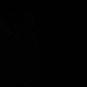 Meet your Posher, Cody